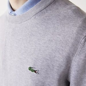 Very gently used Lacoste sweater size 3 (Small)- Boys 10-12yo